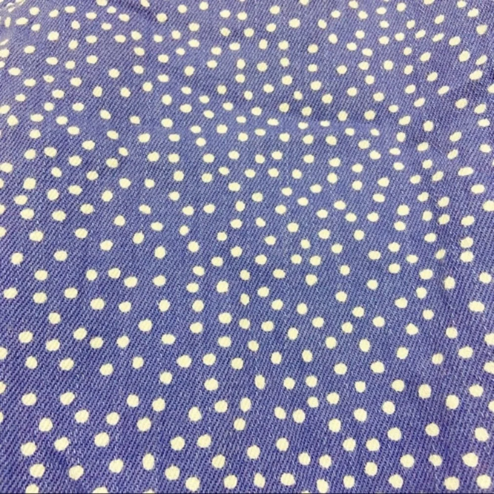 J Crew Womens Toothpick Jeans Size 27 Skinny Stretch Polka Dot White Blue